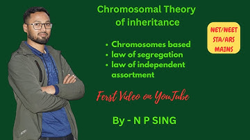 #chromosomal theory of inheritance #plantflixacademy #biology #education #neet #drnpsinghnageshwar