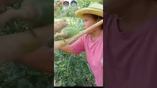 พัฒนาต. พรมสวรรค์