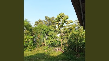 Terlalu berharap