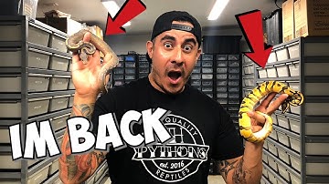 MY FAVORITE SNAKES OF 2019 "HOLDBACKS"