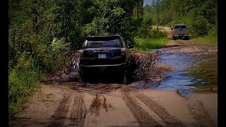 Discovering the Florida Adventure Trail for the first time.