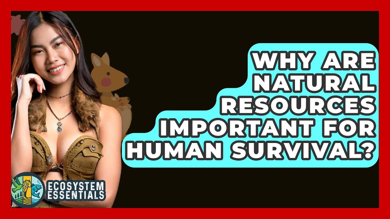 why-are-natural-resources-important-for-human-survival-ecosystem