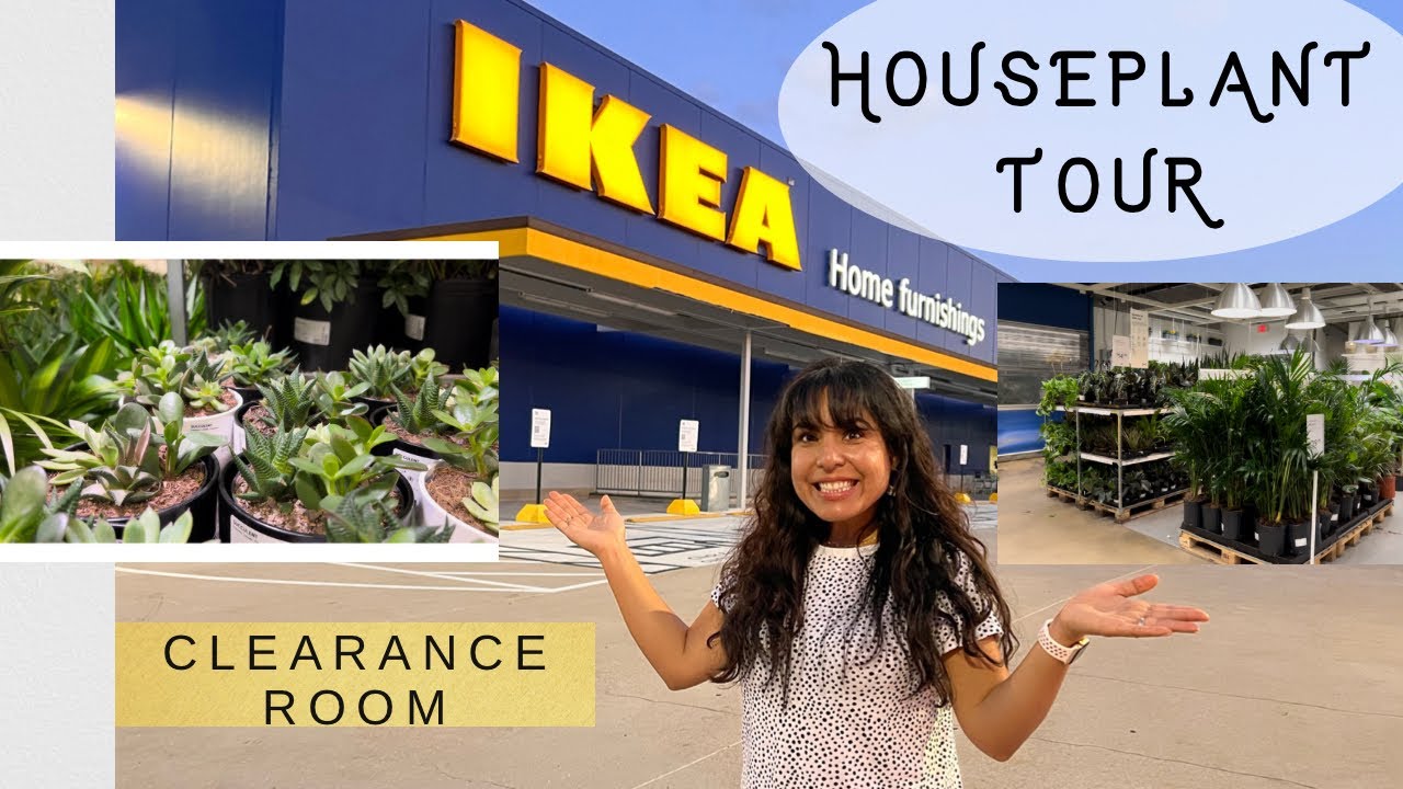ЭКСКУРСИЯ ПО КОМНАТНЫМ РАСТЕНИЯМ В ИКЕА / ПОКУПКА РАСТЕНИЙ / ТЕПЛИЦА ИКЕА / РАСПРОДАЖА И МНОГОЕ Д...