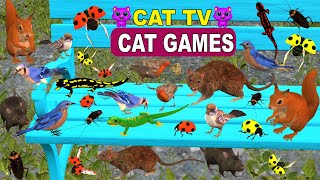 Ultimate 3D Cat Game | Birds Flying & Mice Running | Cat TV Entertainment For Cats 4k screenshot 3