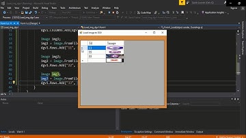 تحميل صورة الى DataGridView  | سي شارب |  C# [ Source Code]