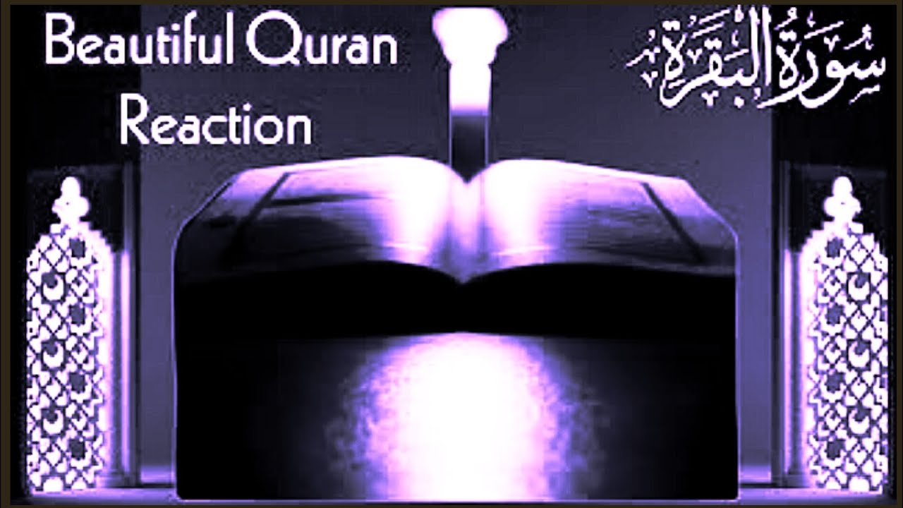 Surah Baqarah (Fast Recitation) Quick Reading By Sheikh Mishary Afasy With Arabic  سورة البقره Ep111