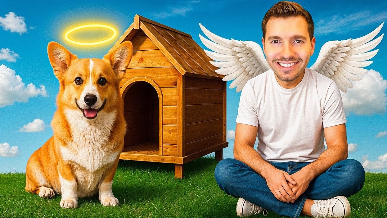 Meu CACHORRO foi para o CÉU nesse vídeo!