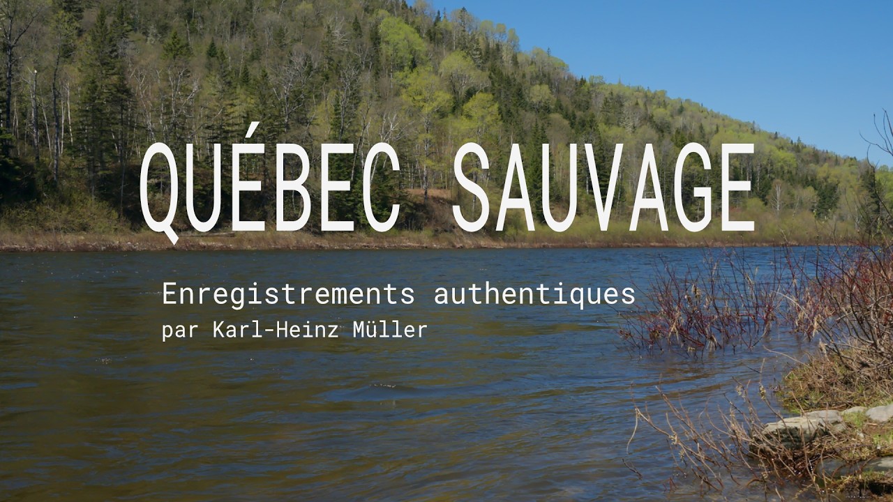 Paysages sonores :: Québec Sauvage :: 2026-02-17