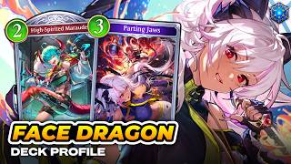 Face is the Place - Shadowverse: Worlds Beyond screenshot 2