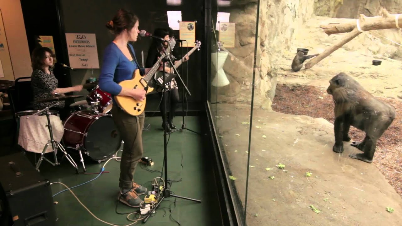 Watch Grass Widow "Milo Minute" (official video) on YouTube Watch Grass Widow "Milo Minute" (official video) on YouTube