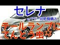 30 セレナEpower同時期新車購入テールランプにてんとう虫#161