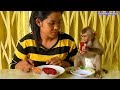 Baby Monkey | Mom Make Jelly Dragon Fruit For Monkey Kako | Monkey Enjoy Jelly