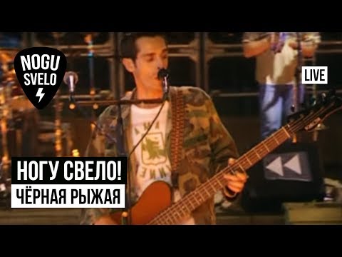 Ногу Свело! - Чёрная рыжая (Live). Концерт "Потерянный поезд" (2005)