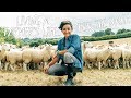 Gambar cover British Sheep Farming: Living A Farmer's Life For The Day!