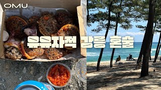 강릉 유유자적 혼술 | 누룽지 오징어순대, 버드나무 브루어리