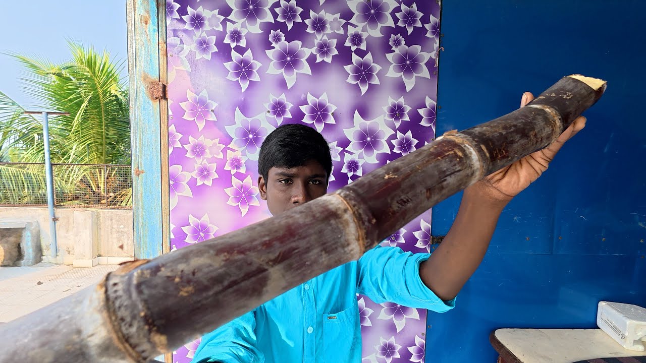 ASMR / SUGAR CANE EATING SOUNDS,