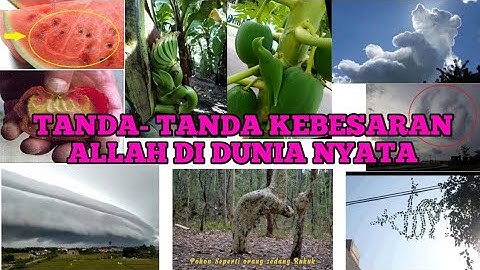 TANDA- TANDA KEBESARAN ALLAH DI DUNIA