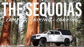 Sequoia & Kings Canyon National Parks  Weekend Camping, Hiking & Cooking Out Of My Truck