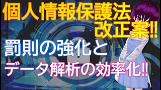 個人情報保護法改正案‼罰則の強化とデータ解析の効率化‼