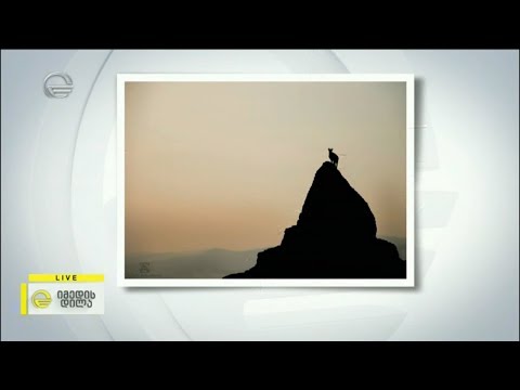 ჯიხვების ვოლიერი ახალ ზოოპარკში - და კავკასიური ჯიხვების გენოფონდის გადარჩენის პროექტი