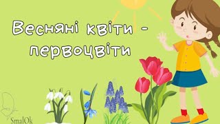 картинка: Весняні квіти первоцвіти
