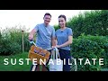 Cum am construit un stil de viață sustenabil #ad