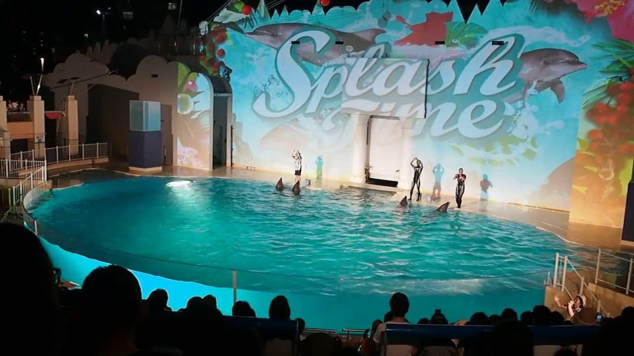 須磨水族館 イルカトワイライトライブ 2016