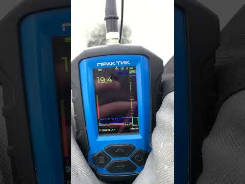Эхолот Практик 8. Подъём судака на 20 метровой глубине. #shorts #shortsvideo #рыбалка #fishing