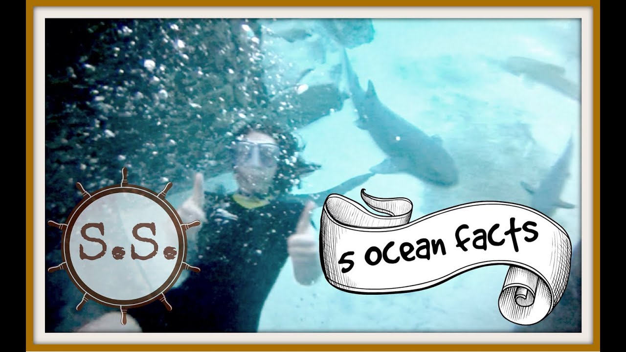 5 Facts You Didn t Know About Marine Life YouTube