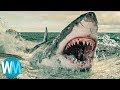 Top 10 Most Horrific Shark Attacks That Actually Happened