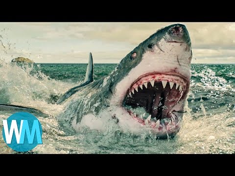 Video: The Most Horrific Shark Attacks - Alternative View