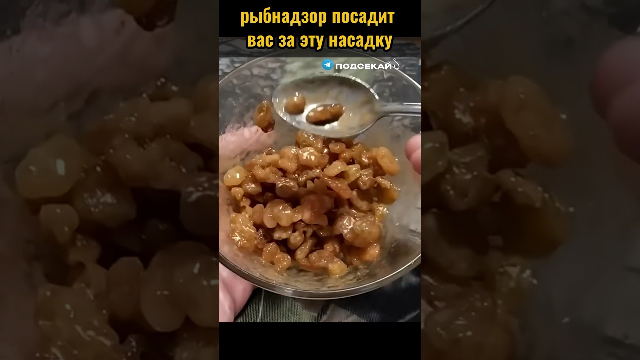 Рыбнадзор вас посадит за эту насадку #насадка #рыбалка #рецепт #рыба #карп #карась