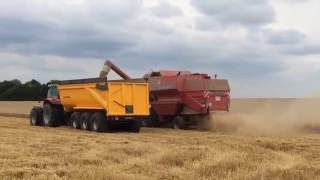 Moissons 2016 : Massey Ferguson 32 [HD 1080p]