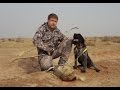 Цикл "Таджикистан охотничий 3 серия" Охота на зайца и барсука в Таджикистане с луком и стрелами.