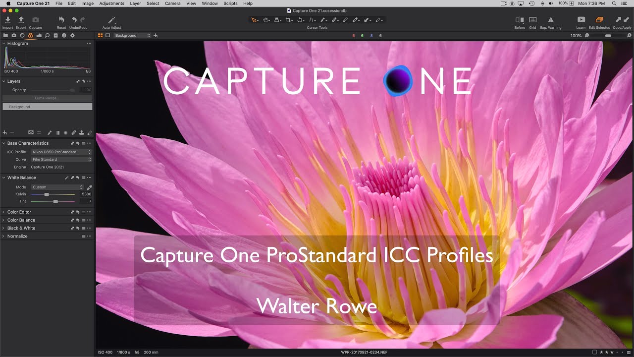 CAPTURE ONE ICC visual data 4