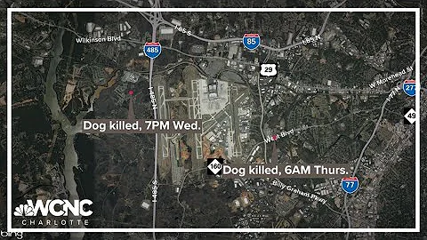 Dog shot and killed by CMPD officer during break-in investigation