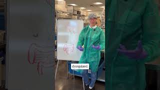 Anxiety, Poor Sleep & Gut Issues? Your Vagus Nerve May Be Involved