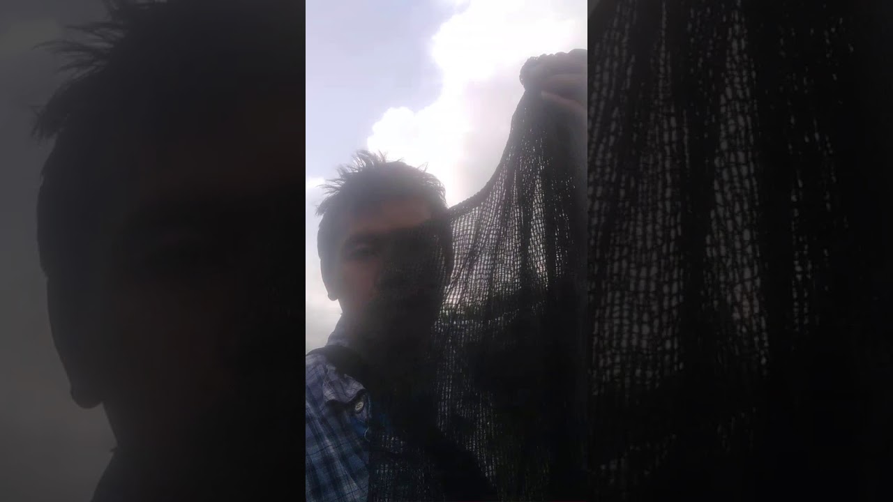 Jaring burung kareo 