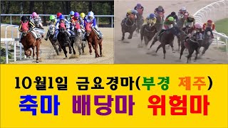 경마!!!9월30일 라이브 방송#금요경마(부경 제주)축마 배당마 위험마#####문자신청 010 7573 5534, 010 3086 5534