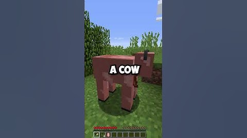 What If You Shear A Pig in Minecraft?