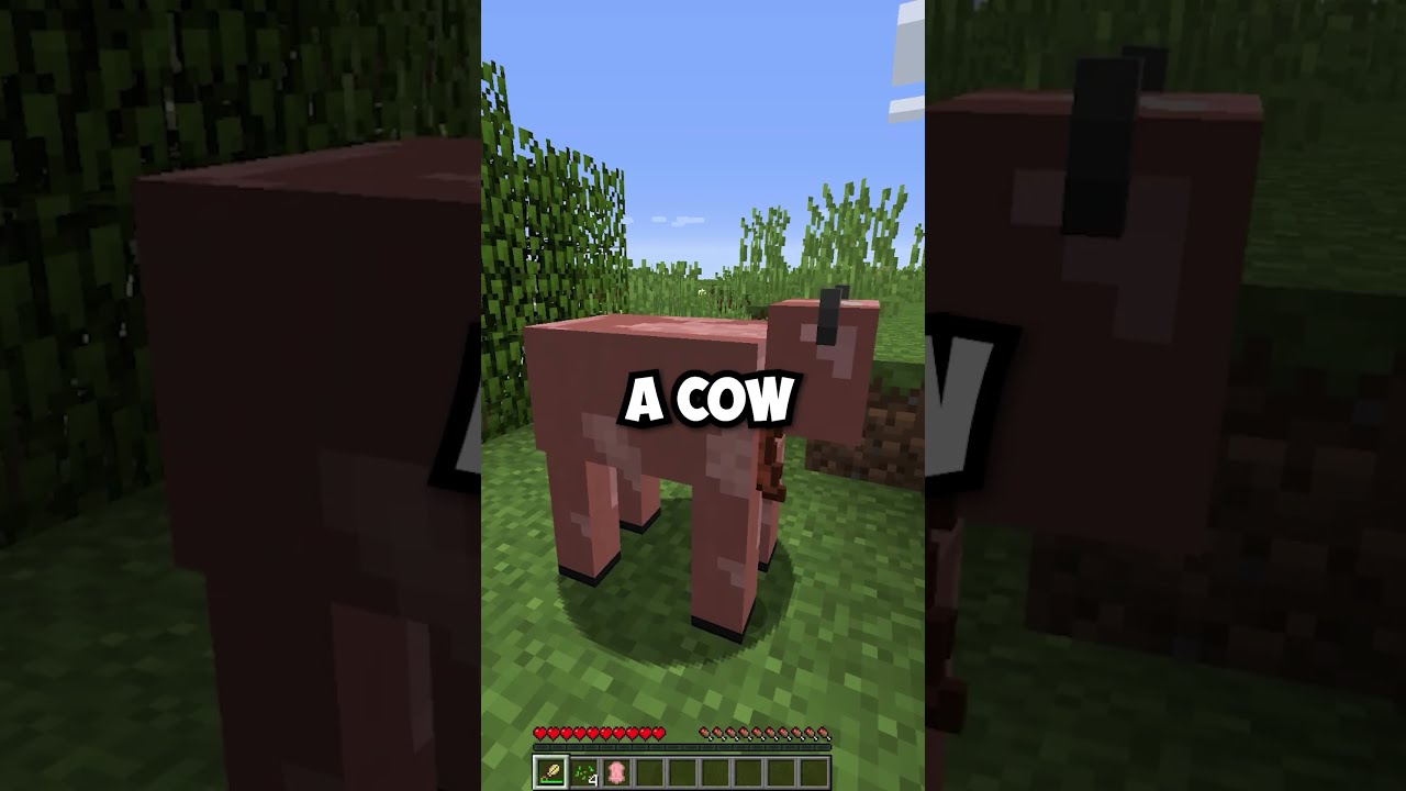 What If You Shear A Pig In Minecraft 