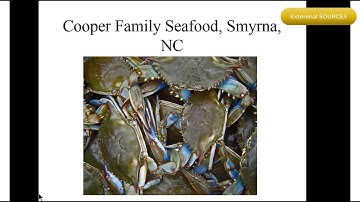 NVivo Sources (files) : Part 1 | Qualitative Data Analysis Services