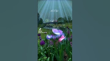 #سورة-الضحى#علاء_عقل #القرآن_الكريم #zeealquran #islamicvideo #اكسبلور #fypシ゚viral