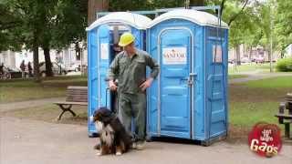 Broma del baño publico