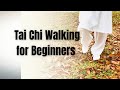 How to Do Tai Chi Walking for Beginners| Understanding Yin-Yang Transition
