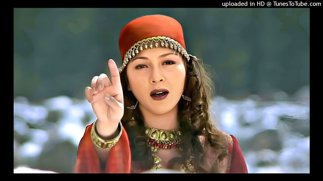 Chhodh Ke Na Jaa Ooh Piya |❤️Love Songs❤️| Alka Yagnik | Arbaaz Khan Tabu | Maa Tujhhe Salaam