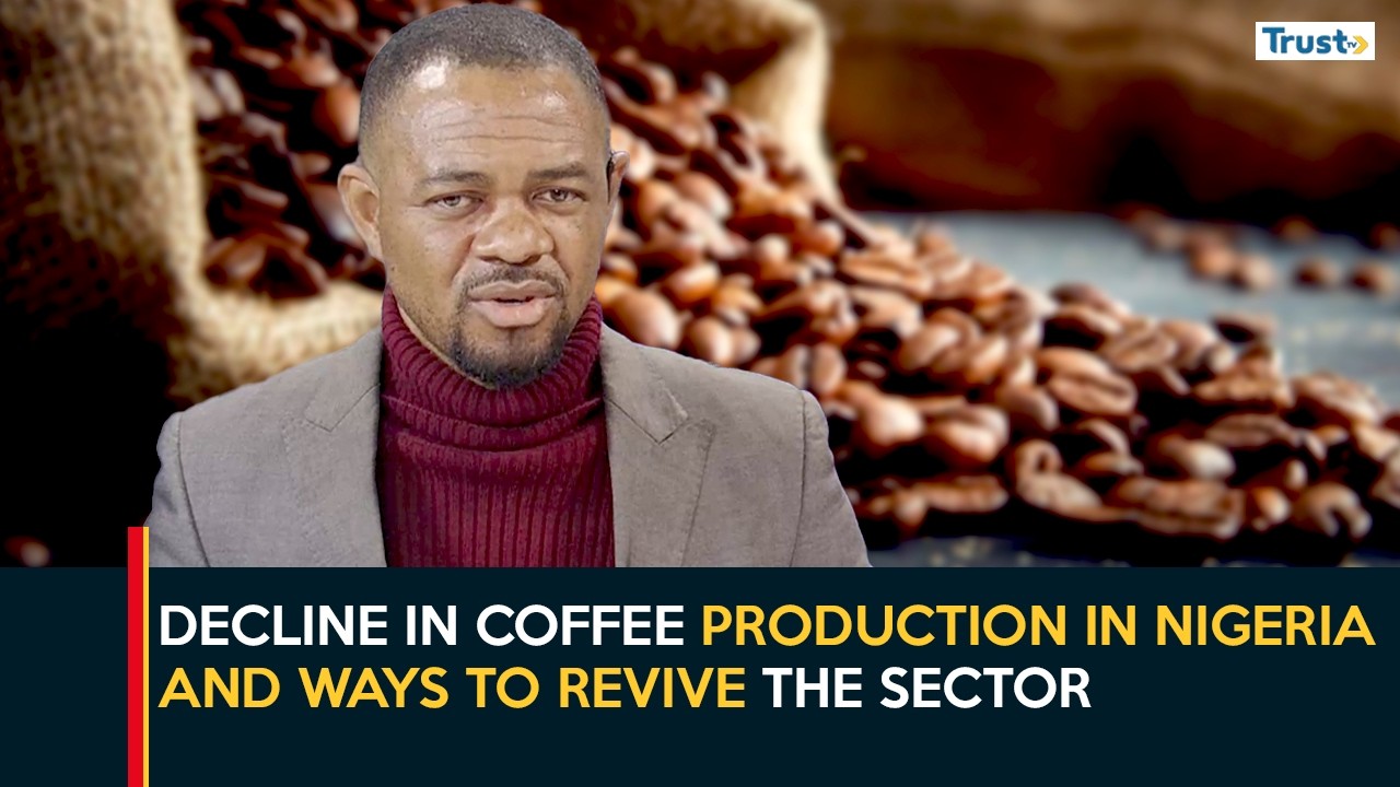 Decline In Coffee Production In Nigeria And Ways To Revive The Sector