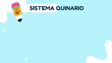 Sistema de numeración quinario ⭐ 6to grado