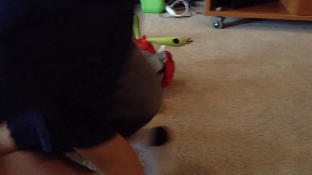 Stuffed Animal Battle