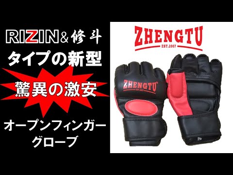 GREENHILL　コンバット　サンボ　オープンフィンガーグローブ hqdefault.jpg